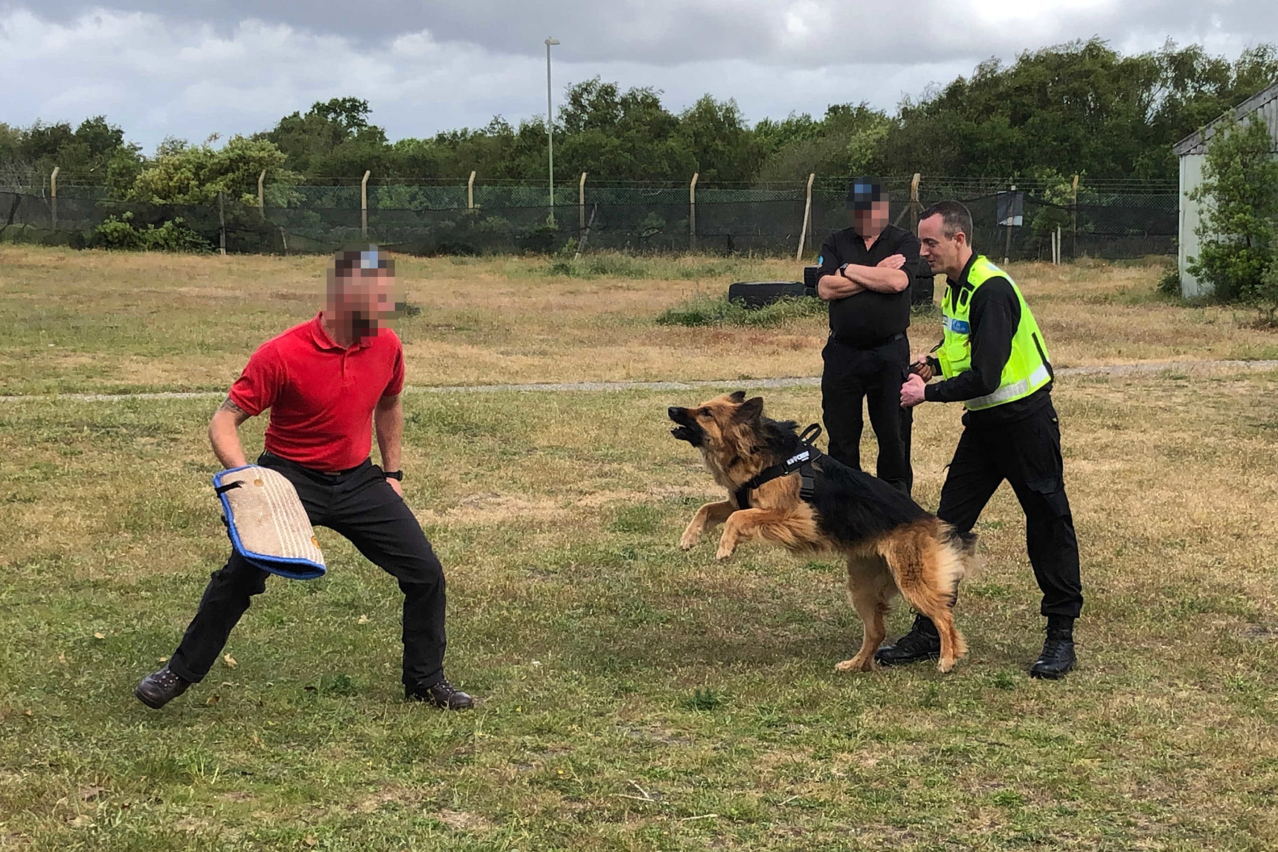 A Secure Site dog handler being trained and assessed at a NASDU training centr