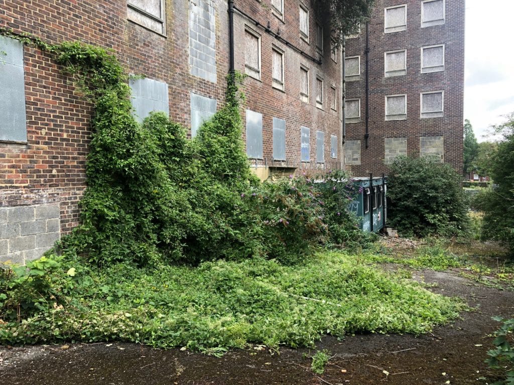Vacant block of flats with overgrown foliage growing up the sides of the building, found during a vacant property inspection.